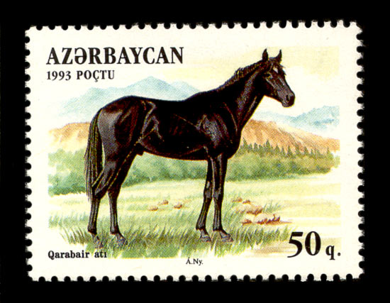 Karabair-hevosrotu