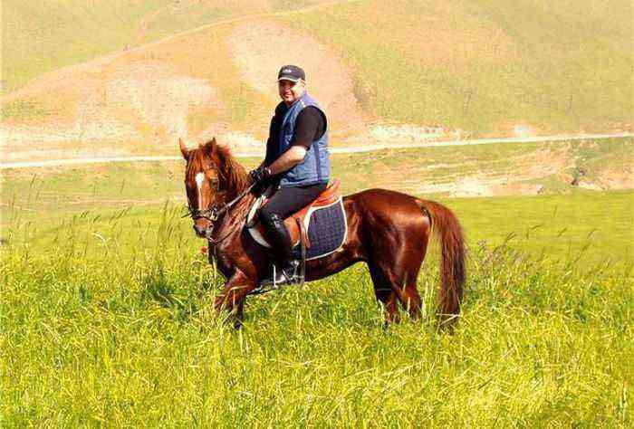 Race de cheval Kustanai