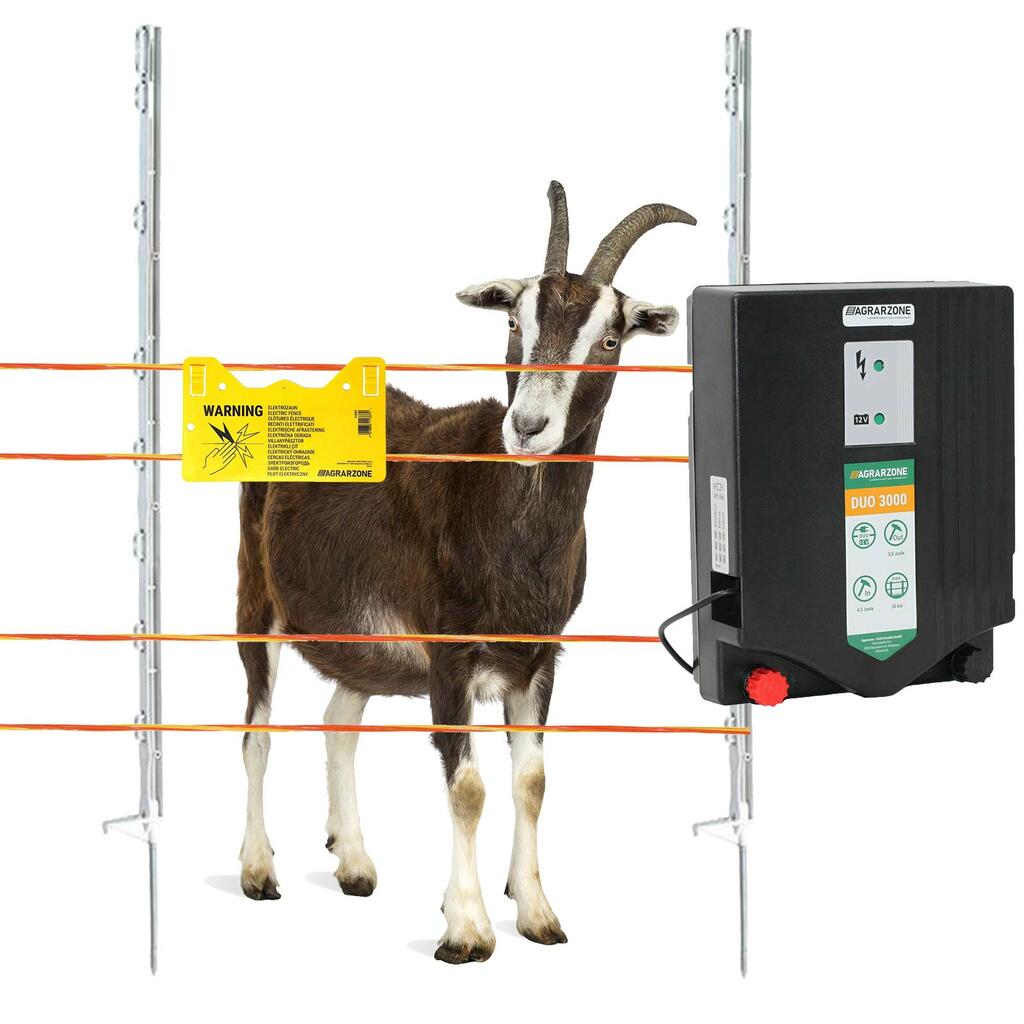 Aperçu des modèles de clôtures électriques populaires pour chèvres