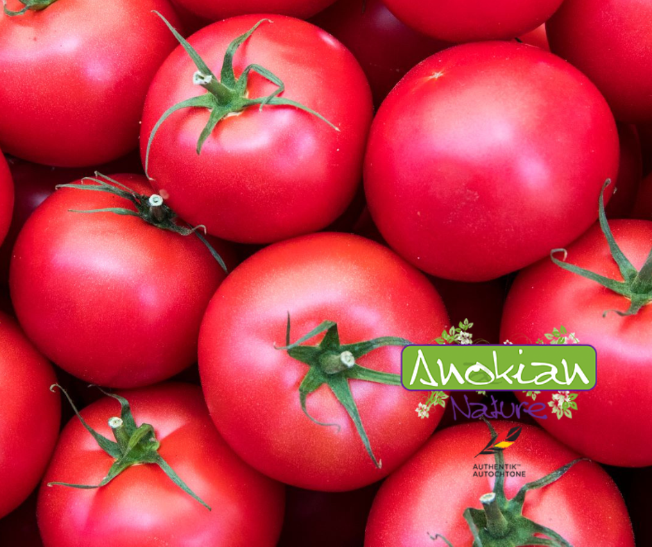 La variété de tomate «Sugar Pudovichok» est agréable et saine dans un légume sous une enveloppe de framboise rouge