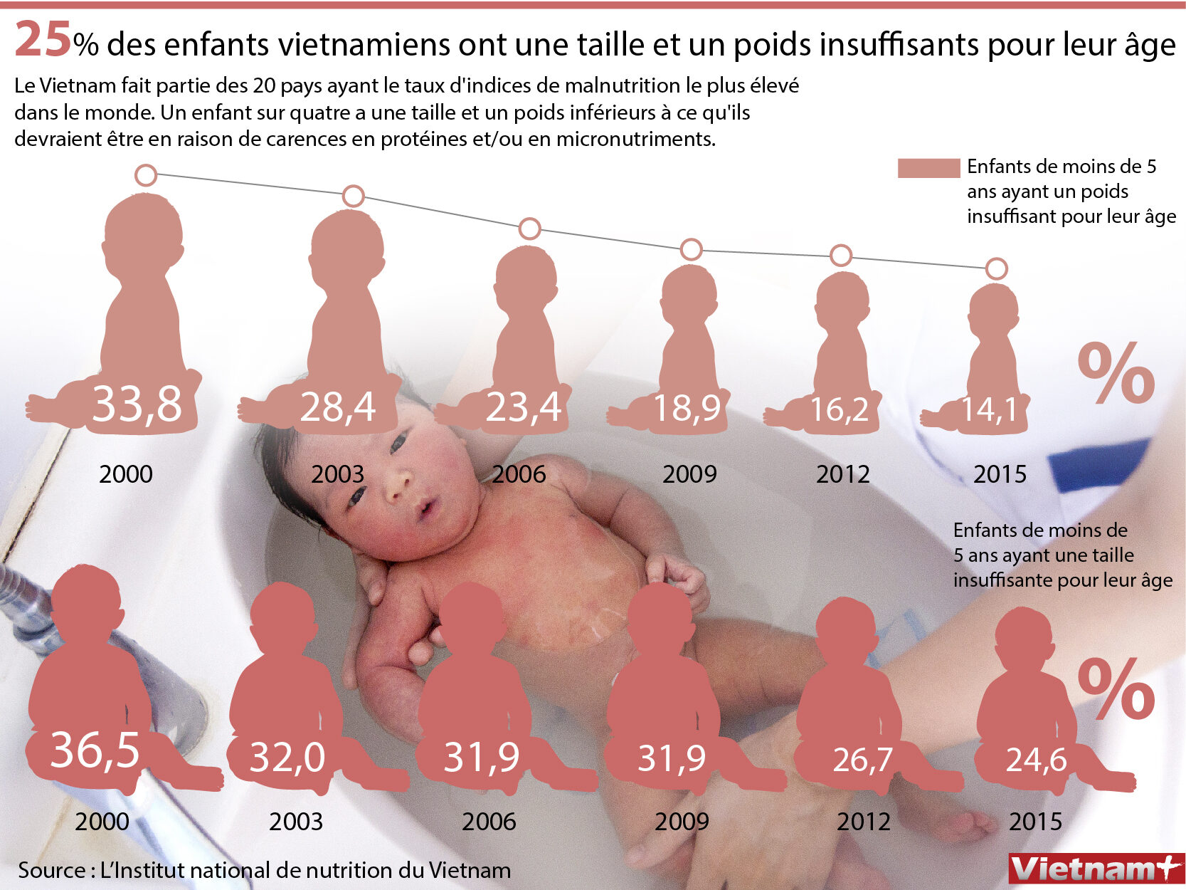 Porcelets vietnamiens : poids par mois, normes de poids corporel à différents âges