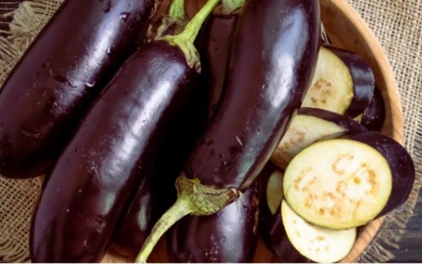 Asirin girma da kuma kula da eggplant a cikin bude filin