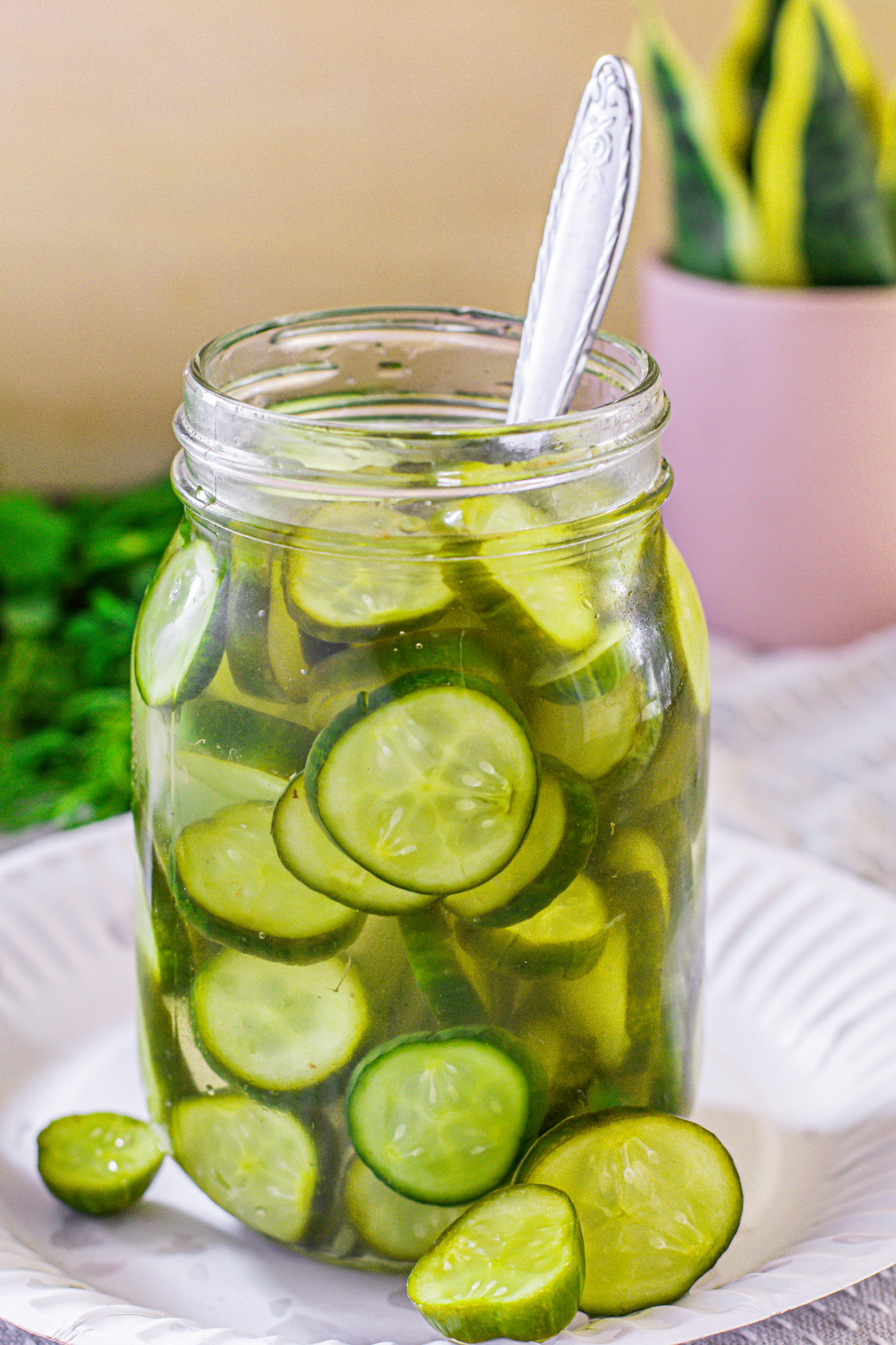 Cucumbers don pickling: 11 iri iri