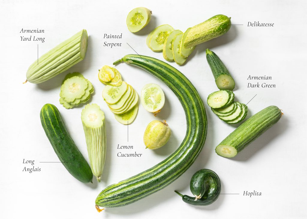 Features na girma cucumbers a cikin 5-lita kwalabe
