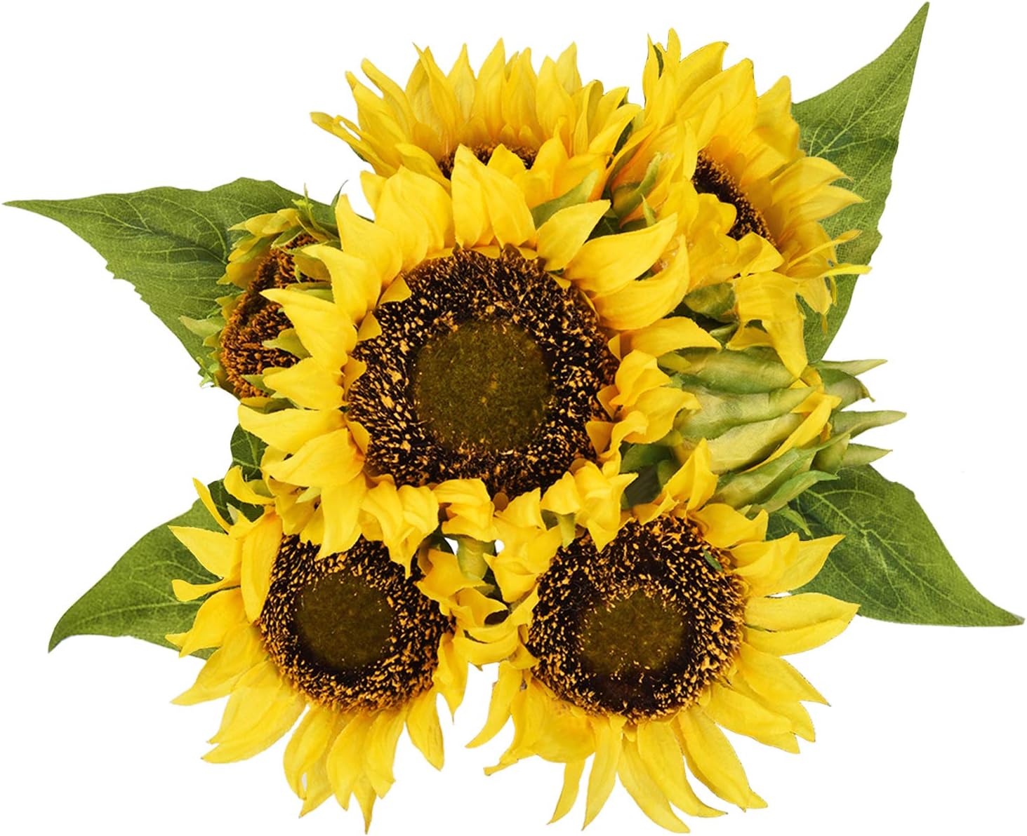 Sunflower: ga abin da za a iya yi da wannan shuka