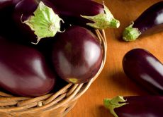 Yadda ake girma seedlings na eggplant a gida