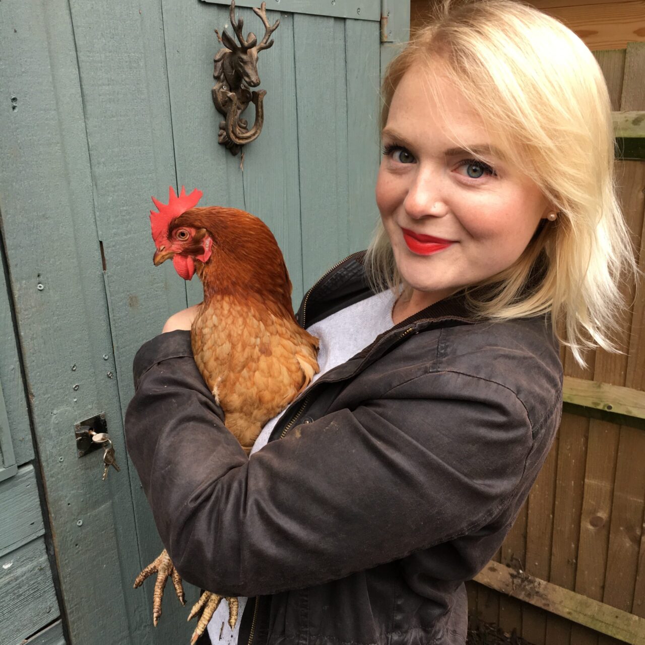 Csirkék: Sárgája hashártyagyulladás