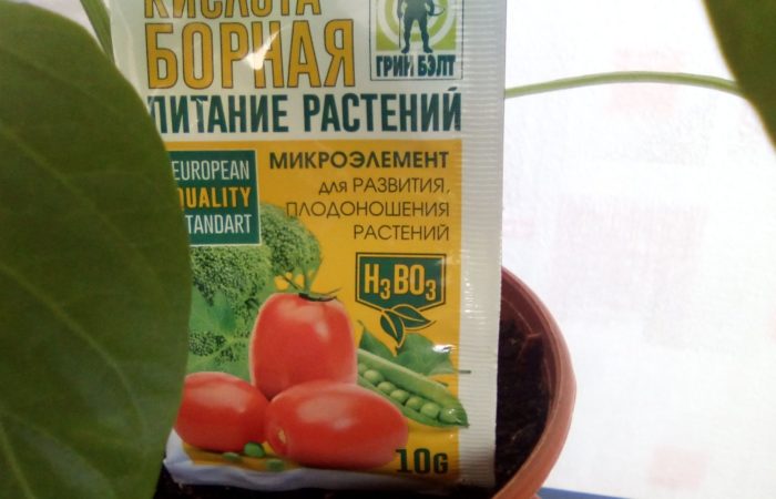Di bawah perlindungan yang baik: cara mengencerkan dan menggunakan larutan asam borat dengan benar untuk menyemprot tomat