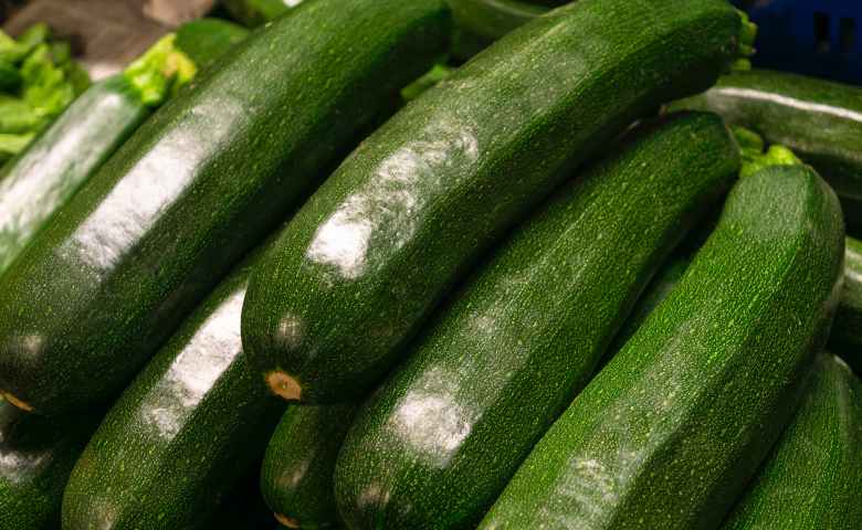 Apa saja manfaat jus dari zucchini bagi tubuh manusia