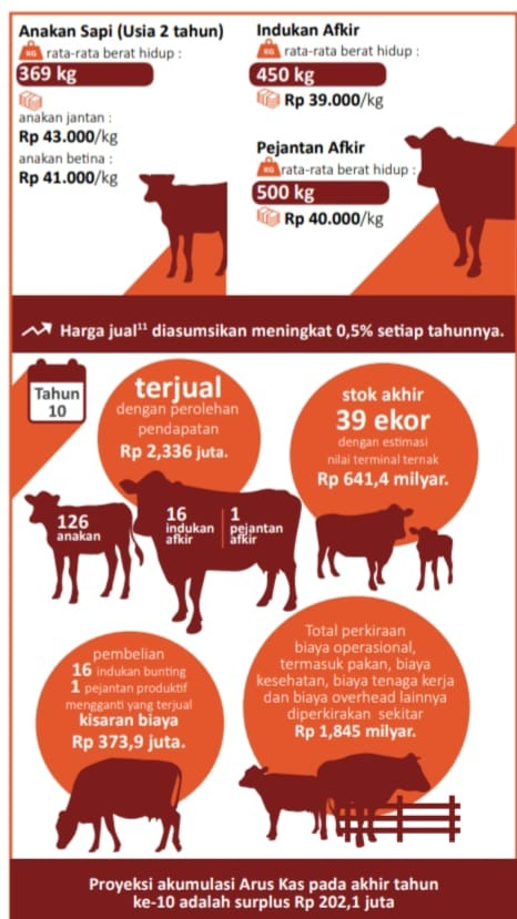 Berapa tahun rata-rata sapi hidup?