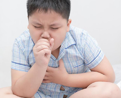 Cara menyembuhkan batuk pada anak kecil dengan lemak domba