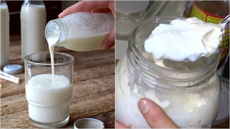 Mengapa susu berbau seperti sapi dan cepat asam?