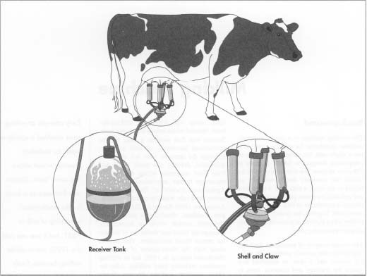 Mesin pemerah susu “Petani”: peralatan, perangkat, spesifikasi