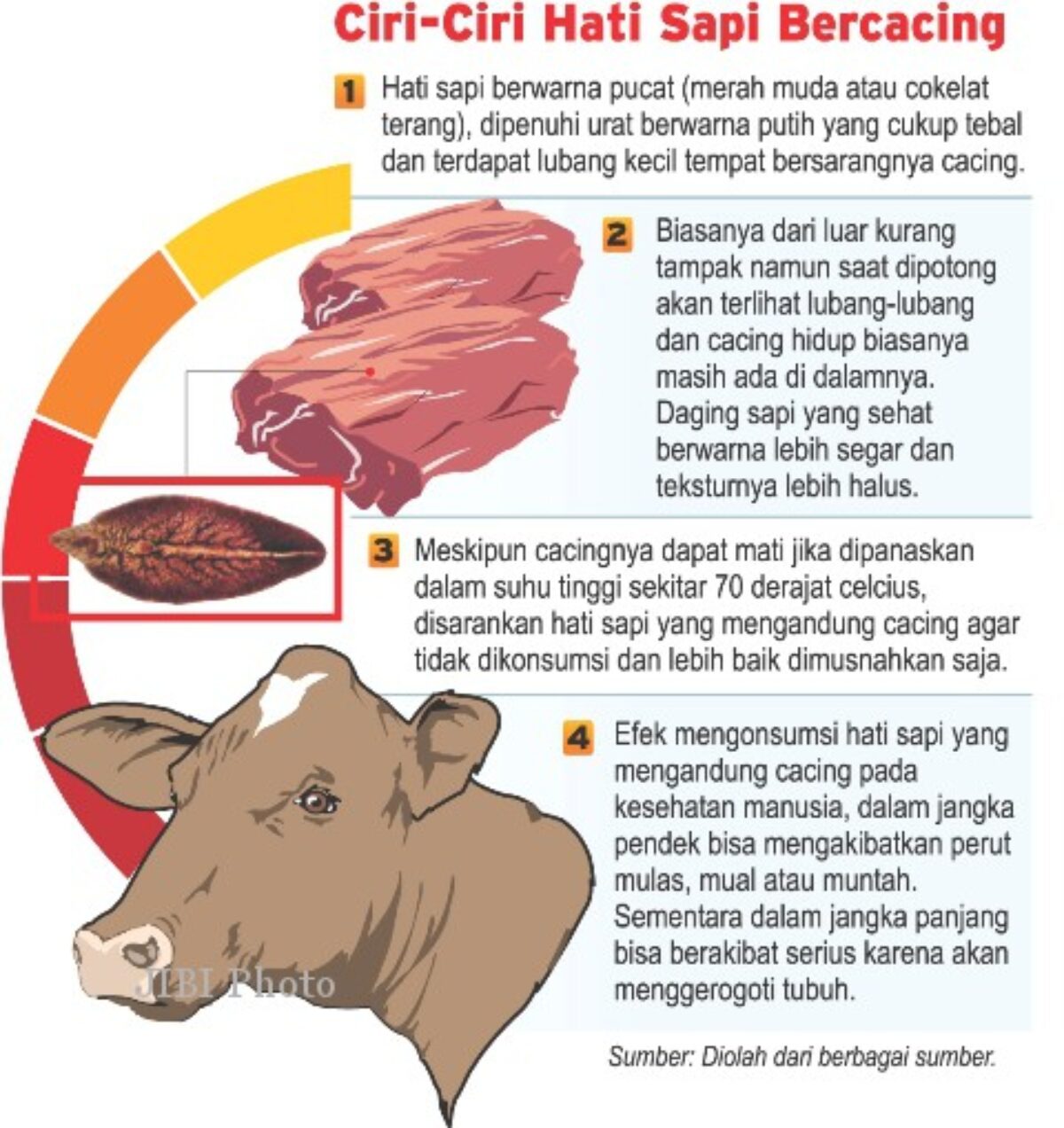 Penyakit liver pada sapi