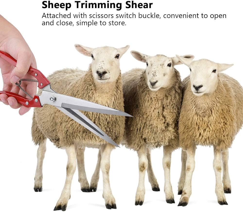 Caratteristiche della tosatura manuale delle pecore: regole generali su come scegliere le forbici