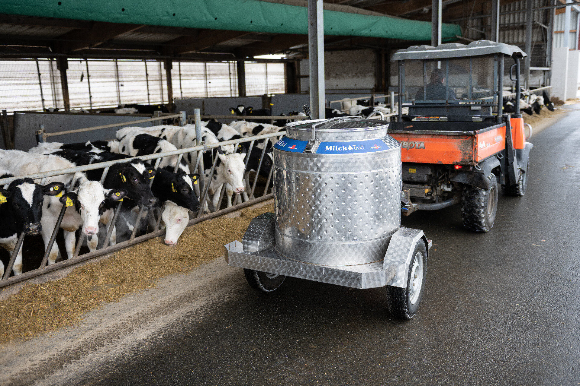 Cos'è un taxi per il latte di vitello?