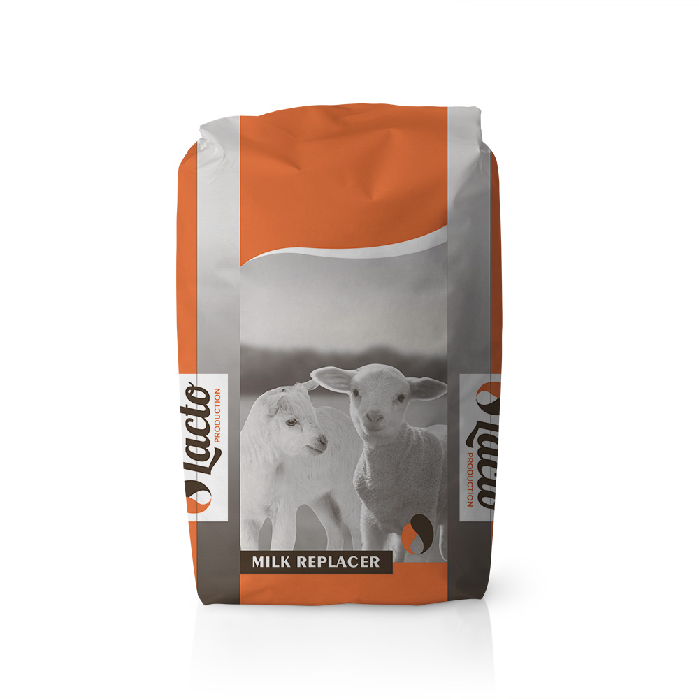 Latte in polvere per agnelli: come scegliere e diluire il composto o il latte