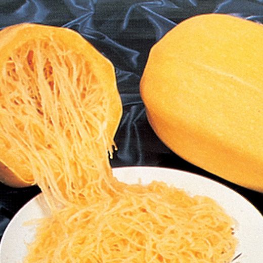 Spaghetti di zucca insoliti: descrizione, semina e coltivazione