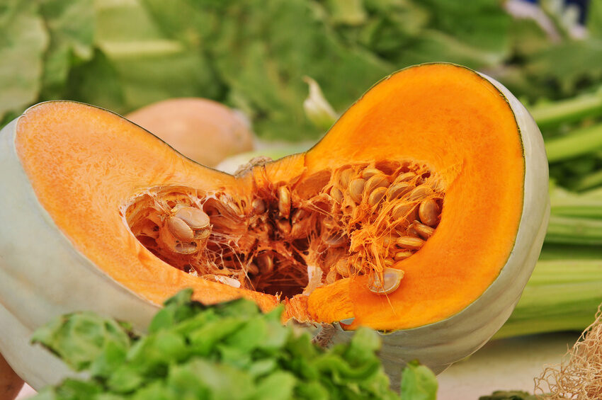 Vitamina di zucca – una varietà a maturazione tardiva con un alto contenuto di carotene