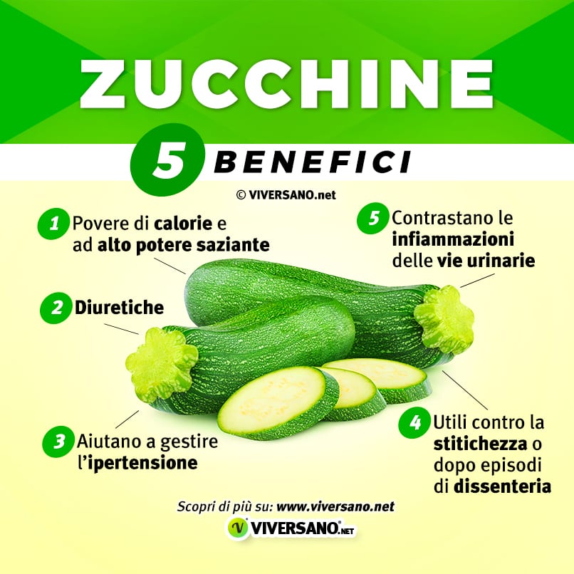 Zucchine zucchine: benefici e danni, caratteristiche di semina e coltivazione