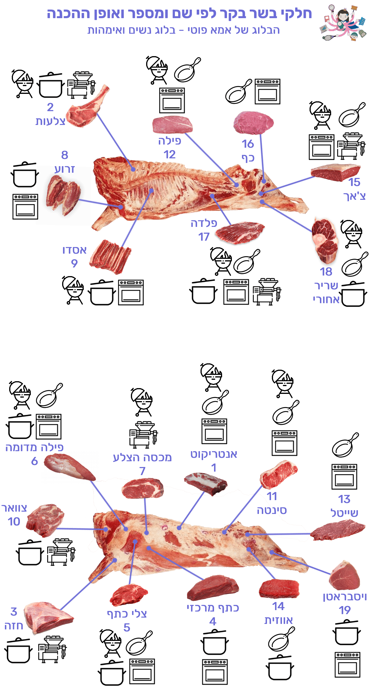תפוקת בשר בקר ממשקל חי: טבלה