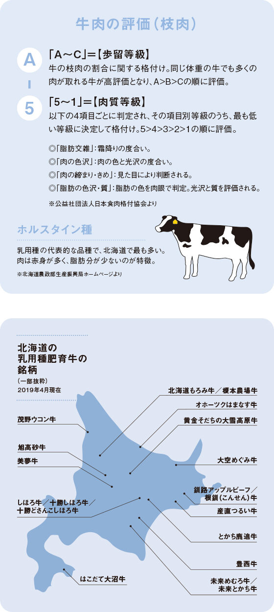 牛を正しく肥育させる方法