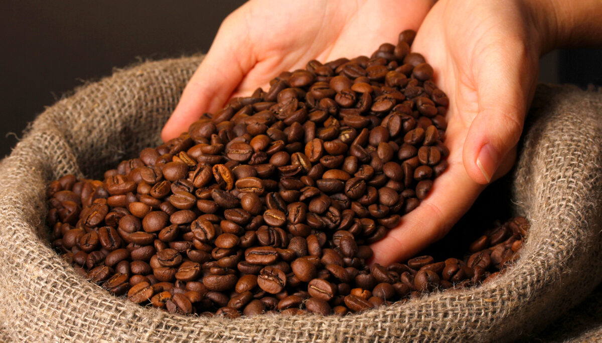 커피: 콩에 관한 24가지 흥미로운 사실