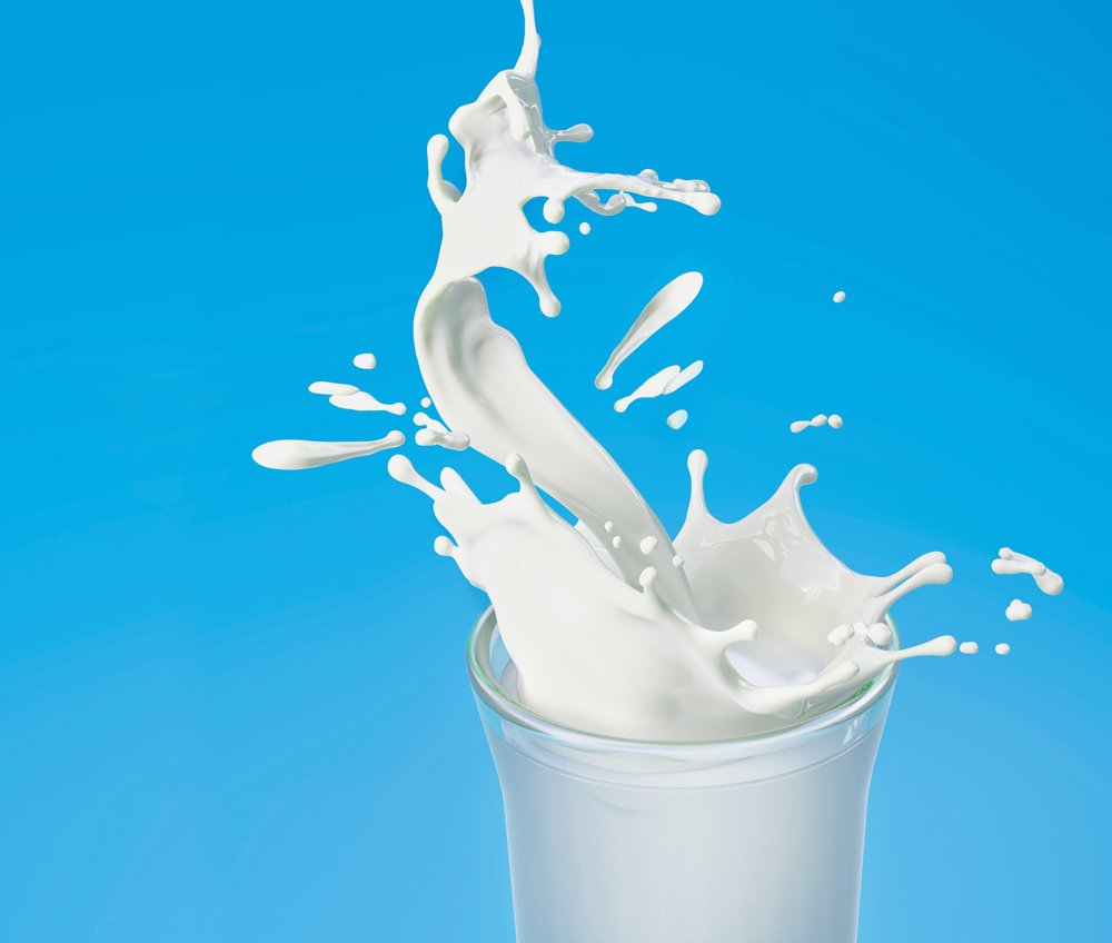 우유는 왜 소 냄새가 나고 빨리 신맛이 나나요?