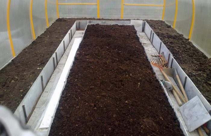 Cadangan tukang kebun yang berpengalaman untuk menyediakan tanah untuk anak benih tomato