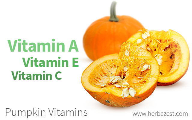 Pumpkin Vitamin – een laatrijpe variëteit met een hoog caroteengehalte
