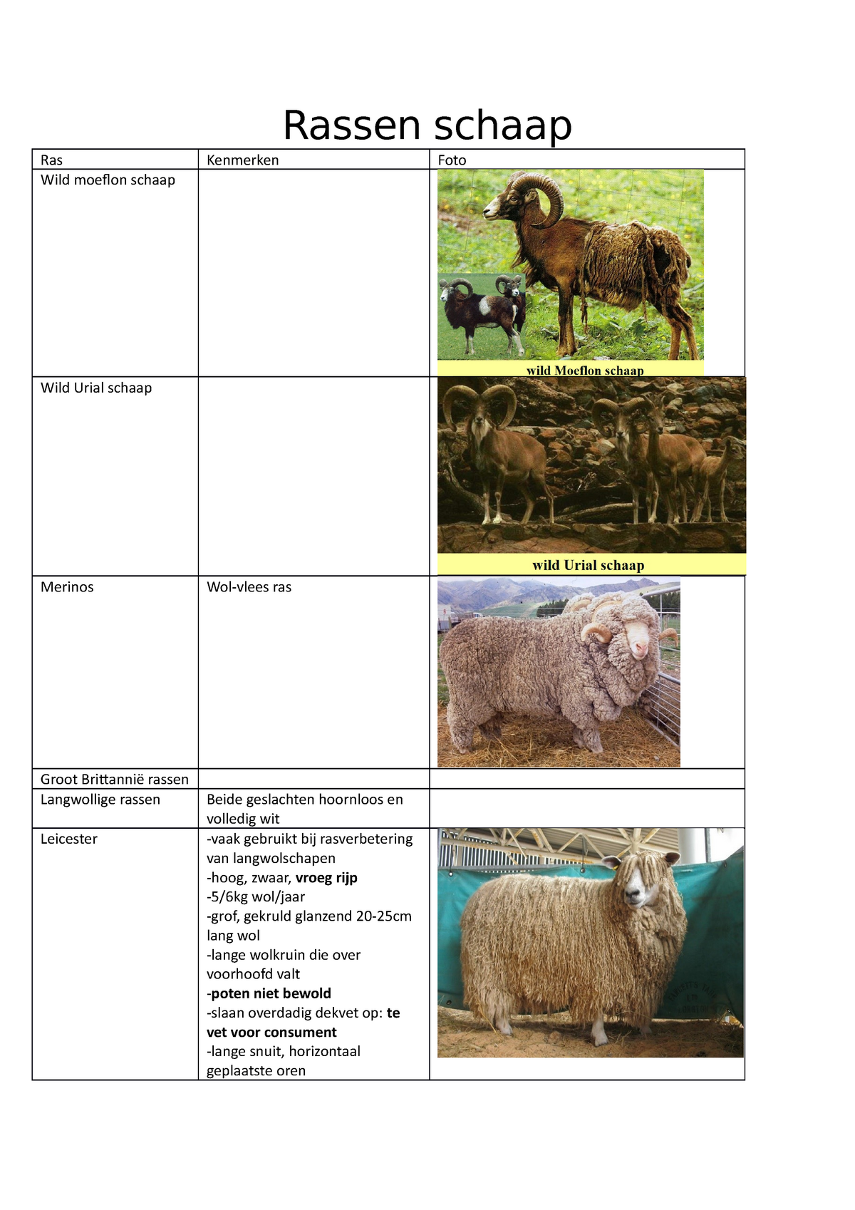 Tsigai-schapen: beschrijving en kenmerken van het ras