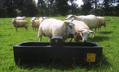 Voeders, drinkers, voerbakken voor schapen – zelfproductie