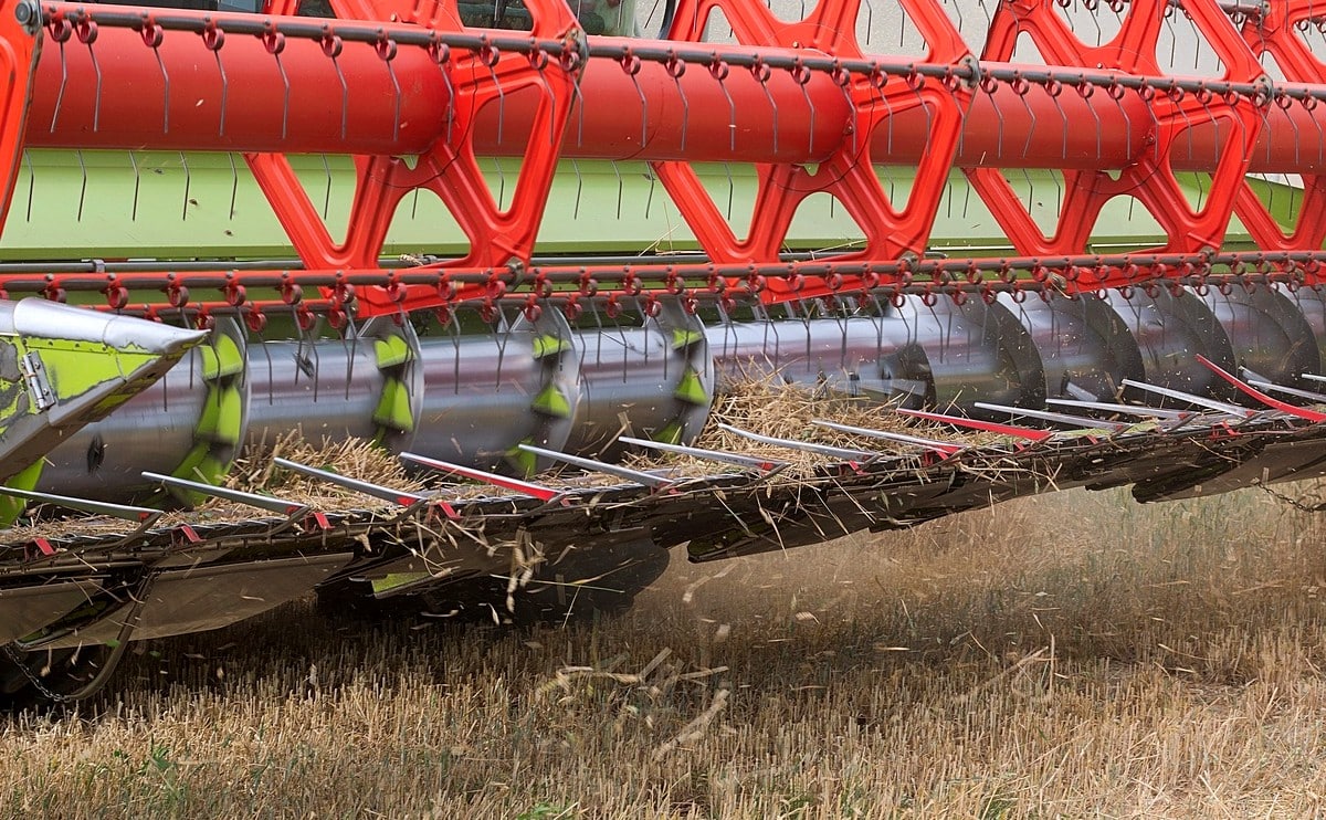 Innhøstingstap: se hvordan du beregner og reduserer tap