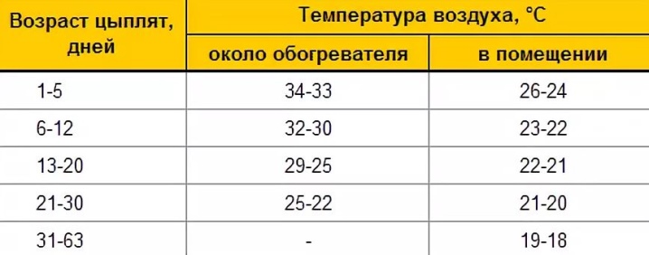 Temperatur for kyllinger i forskjellige aldre