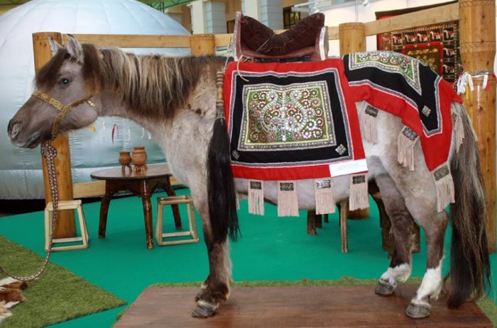 Yakut hesterase - opprinnelse, beskrivelse, bruk