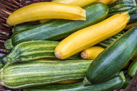 Hva er forskjellen mellom zucchini og squash?