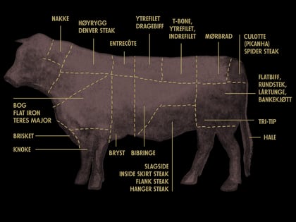Hvordan mate en okse for kjøtt?