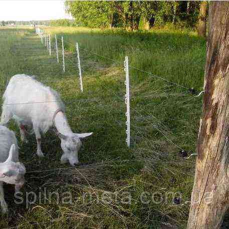 Elektryczne ogrodzenie dla kóz
