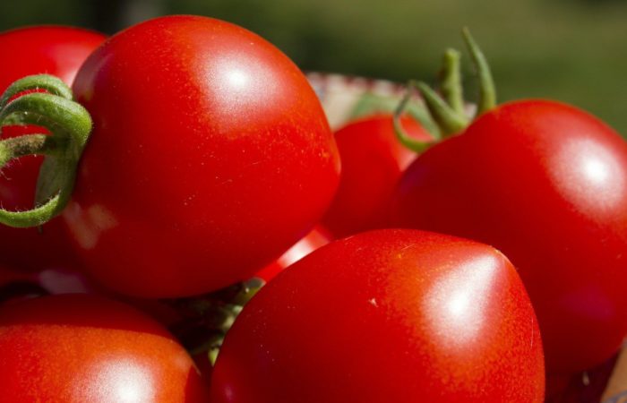 O tomate é uma baga ou um vegetal?  Ou talvez uma fruta?  Especulação e fatos