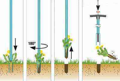 Revisão comparativa do controle de ervas daninhas: como vencer a guerra dos jardins