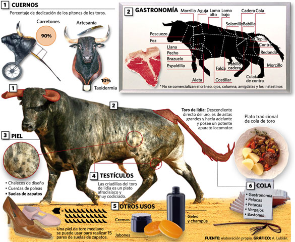 Como alimentar um touro para comer carne?