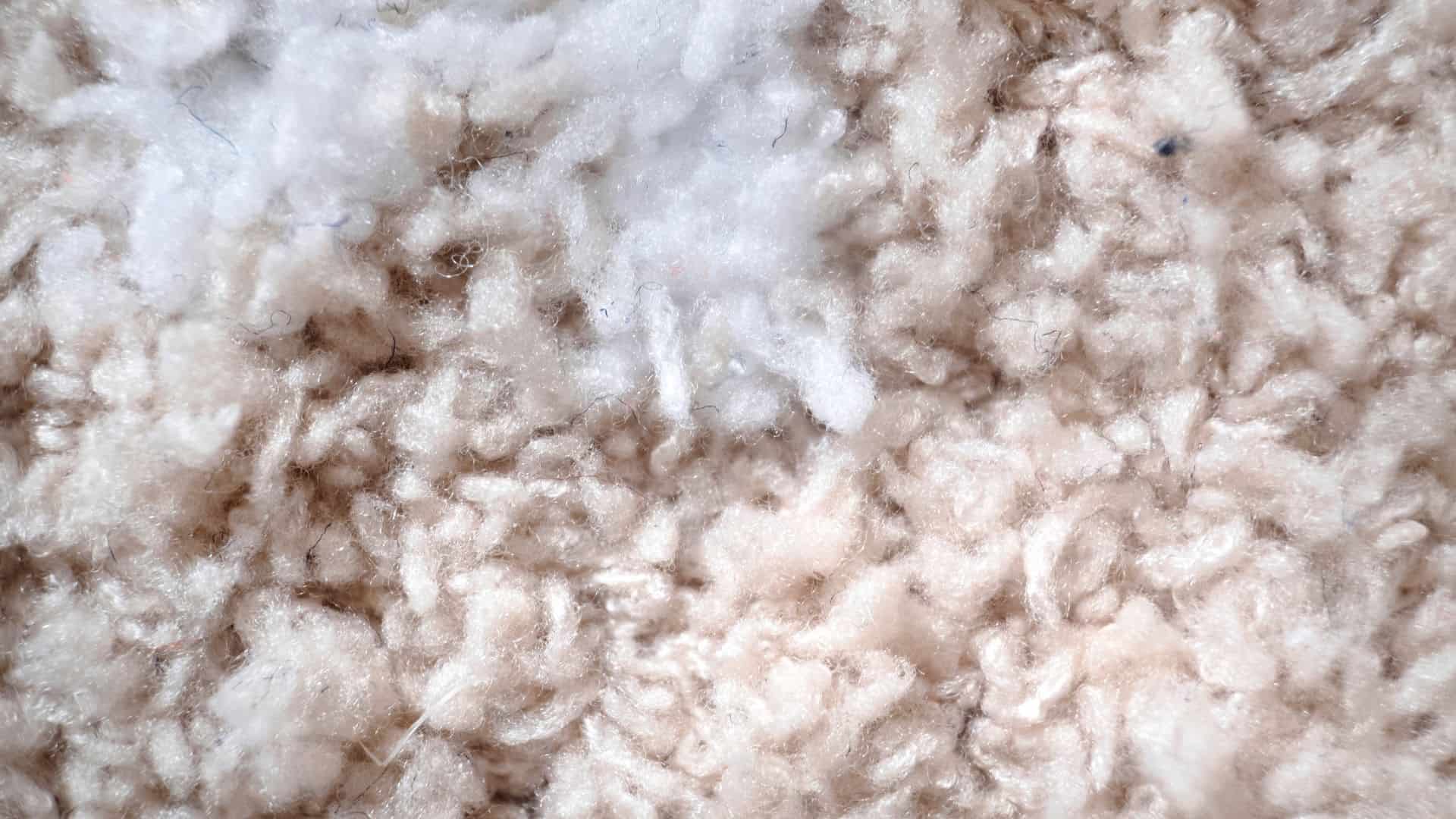 Como e como lavar lã de ovelha (lã) em casa