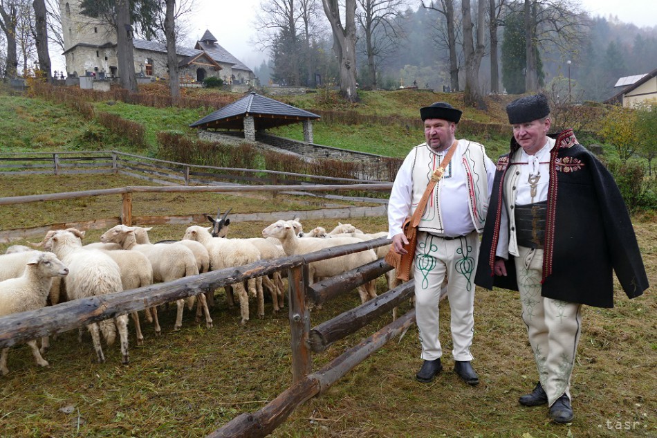 Chov oviec v krajinách sveta