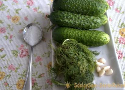 Hur man lagar läcker lättsaltad zucchini