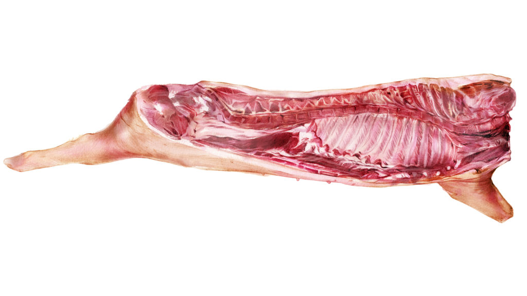 Vad är fårkött fett svans: var är det, beskrivning
