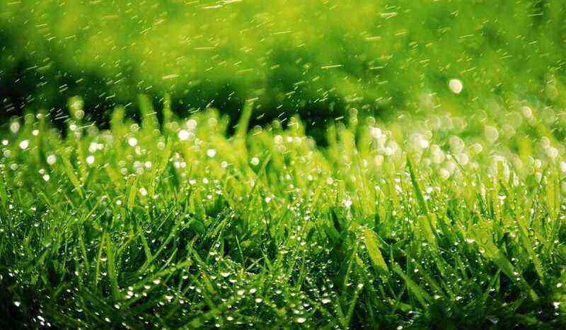 Lawn Care Technology: An Overview of 6 Essential Herbal Care Procedures