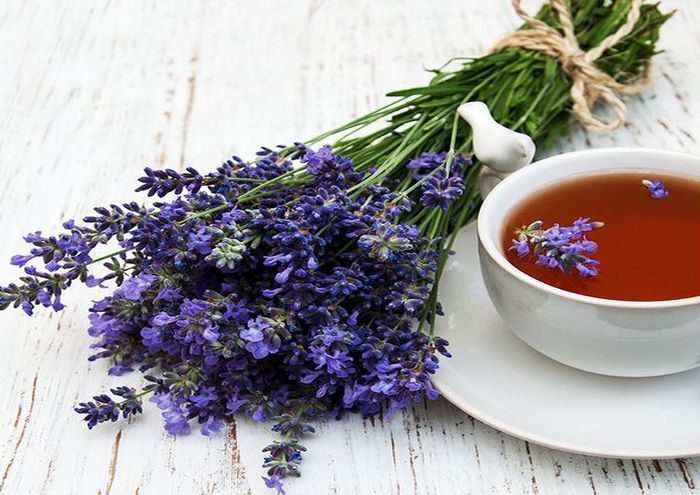 Medicinal properties of lavender
