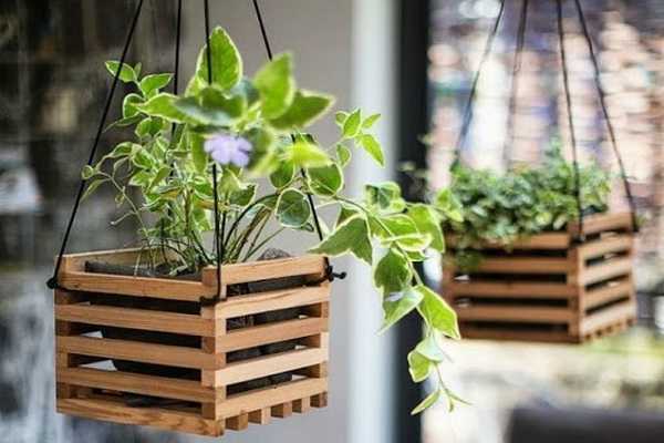 Growing plants in containers