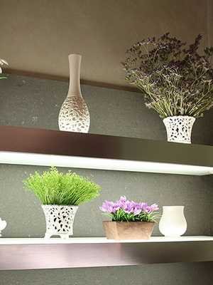 Selection of indoor flowers for the interior of the room and apartment