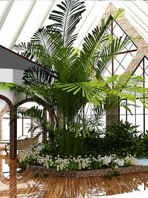Design of indoor plants in the interior of the apartment (with photo)